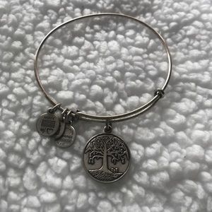 Alex and Ani bracket